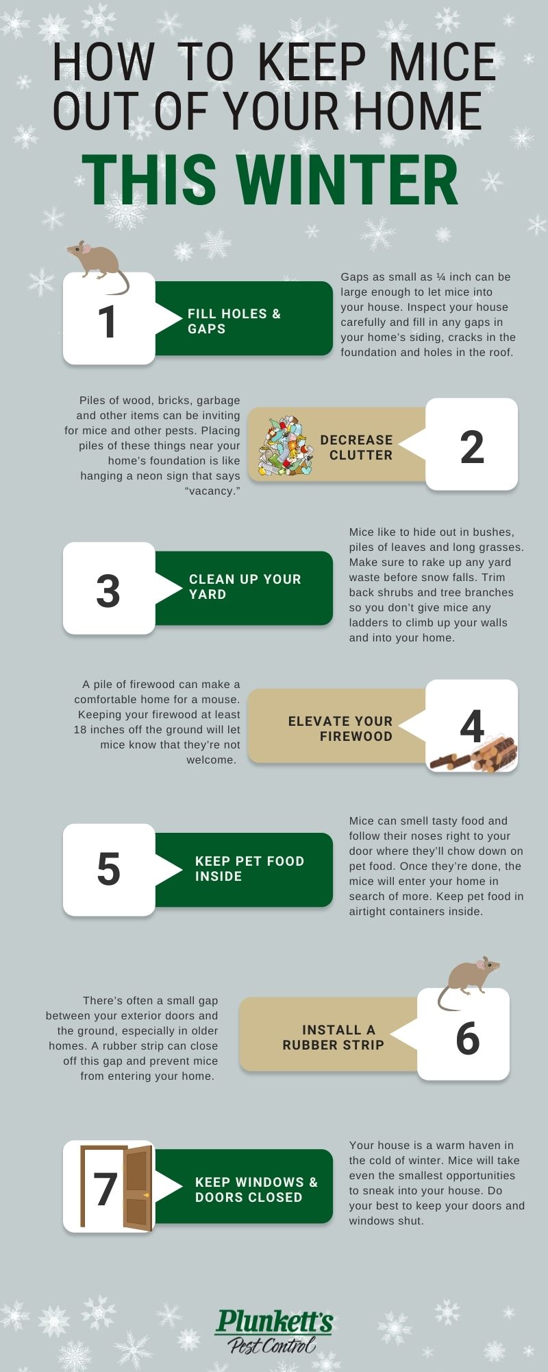 Mice Prevention Tips For The Upcoming Winter Plunkett s Pest Control